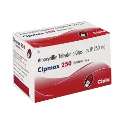 catalog-images/600x600/webp/14361-1756725055997.webp