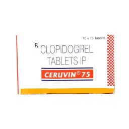 catalog-images/600x600/webp/1633-0.webp