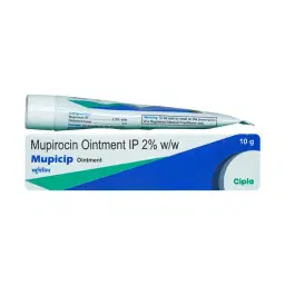 catalog-images/600x600/webp/16947-0.webp
