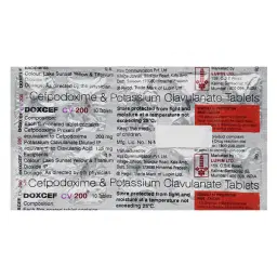 catalog-images/600x600/webp/1980-0.webp