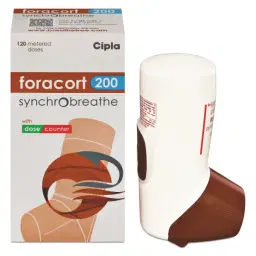 catalog-images/600x600/webp/24491-0.webp