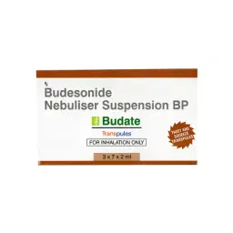 catalog-images/600x600/webp/38013-0.webp